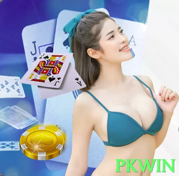 pkwin App - 5